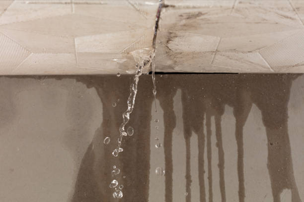 Professional Water Damage Inspection technician working in Pierson, FL